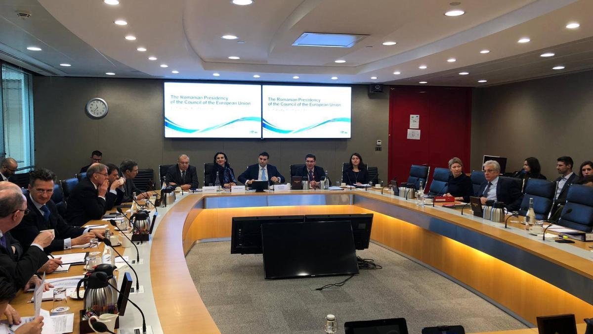 petrescu_ministru_berd_75460300