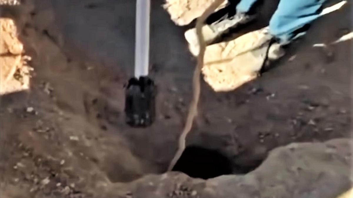 put_copil_cazut_62557300