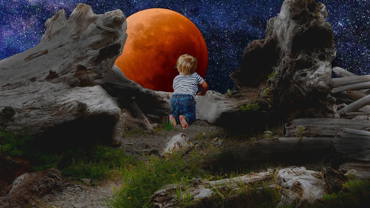 eclipsa-totala-luna-21-ianuarie-2019_52951400