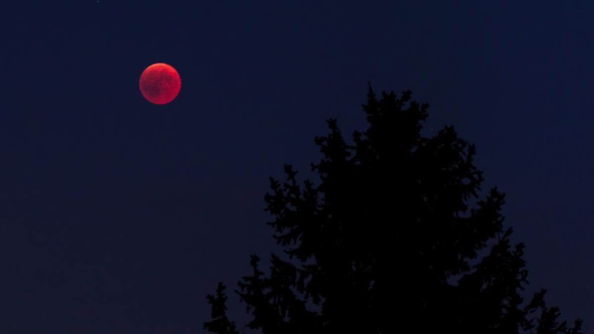 super-luna-sangerie-eclipsa-21-ianuarie_59842500