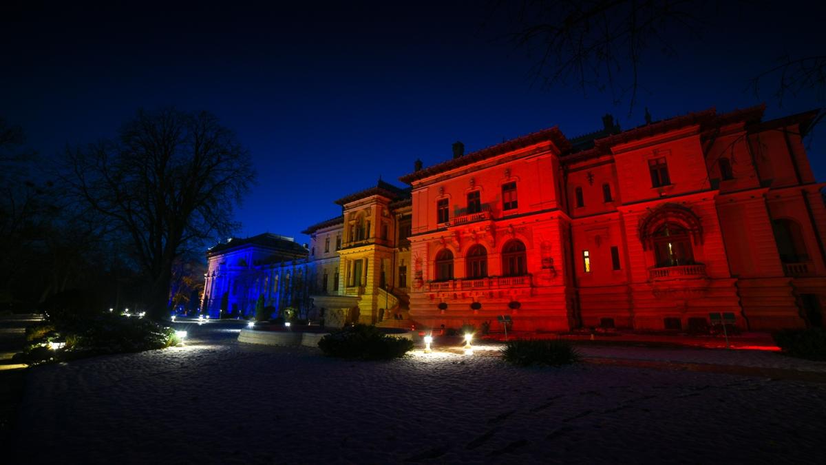 cotroceni-tricolor_39668500