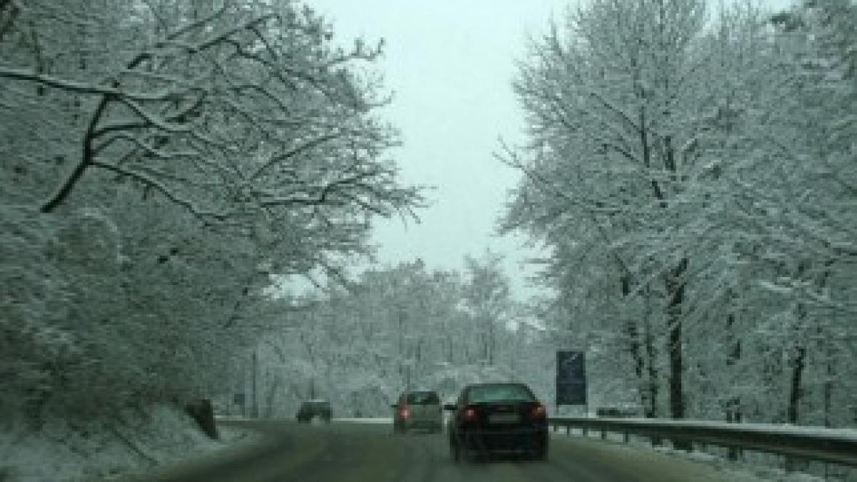 circulatie-iarna-dn7