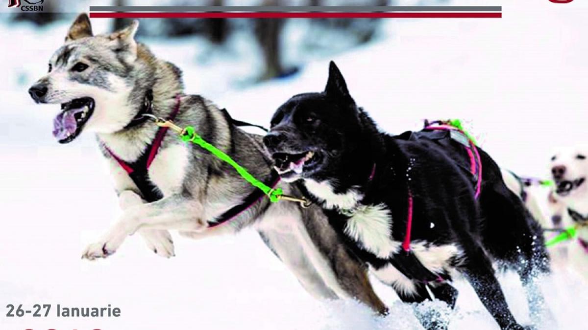 drumul_romanilor_fb_70071100