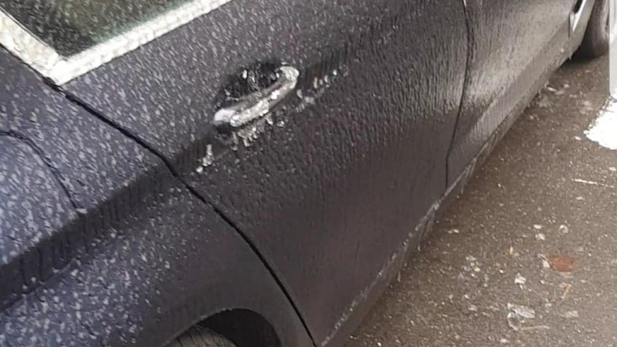 50717522_2250121498643061_5269446137957318656_n_56825800