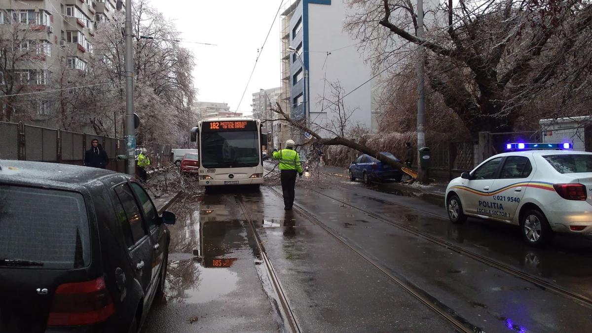 iarna-stb-transport-public_74100600