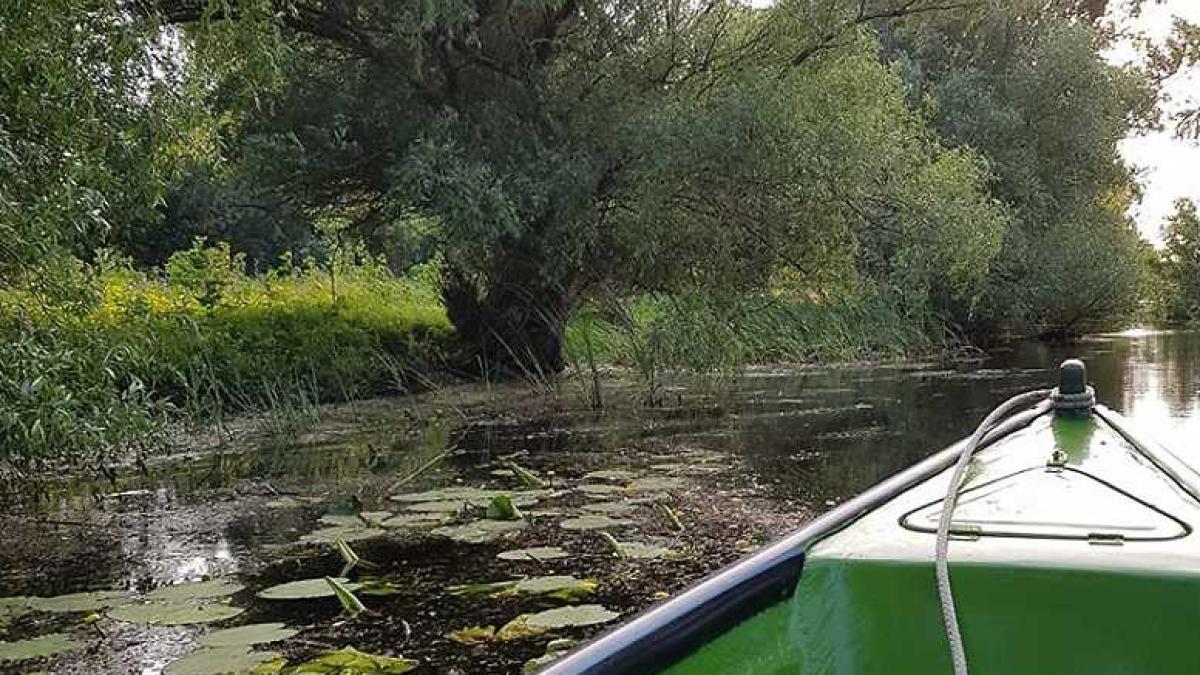 delta_dunarii_42877000