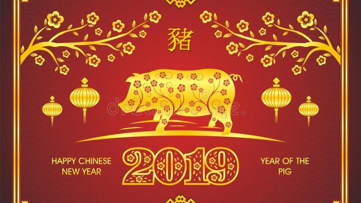 anul_nou_chinezesc_2019_mistret_pamant_45043500
