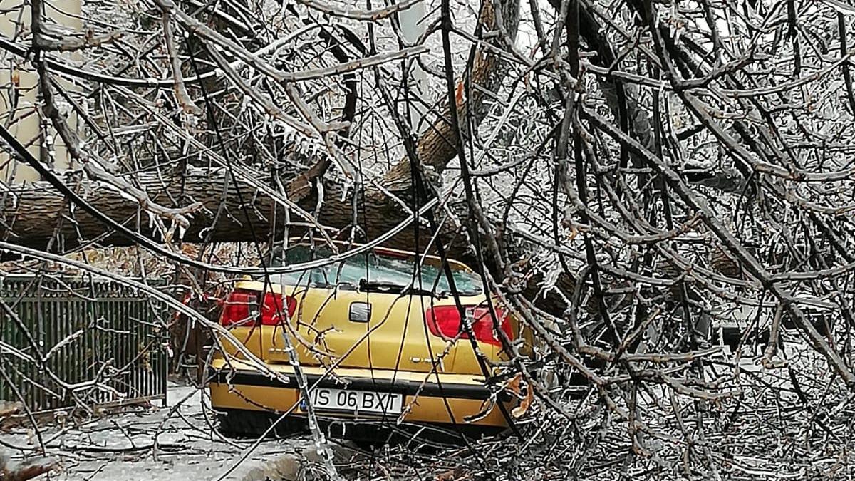 copac-cazut-masina-iarna_16299000