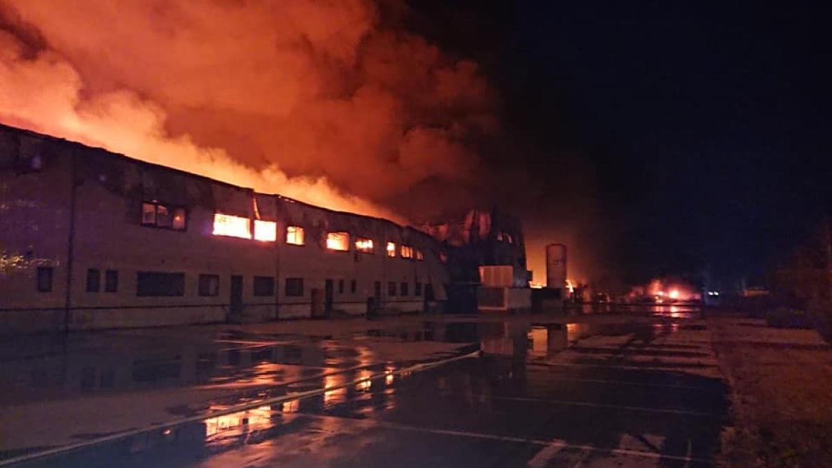 50891641_2466908190046897_631774824359788544_n_28003200