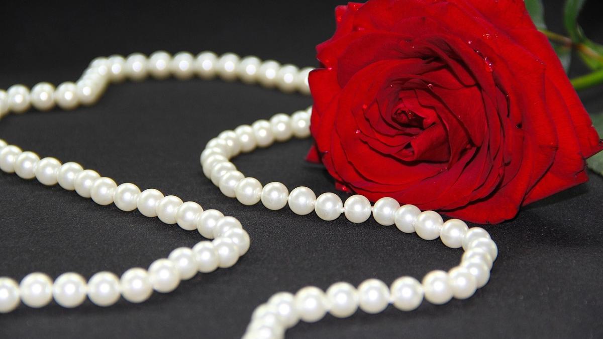 rose-3032346_1280_67128400