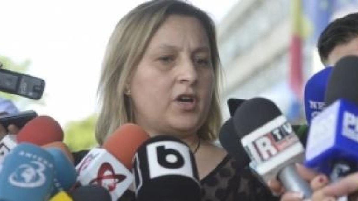 mihaela_iorga_moraru_siij_82120600