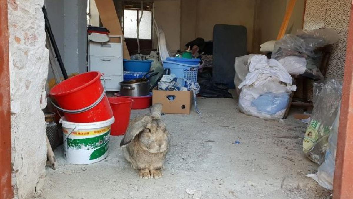 camin-de-batrani-press-alert_63402400