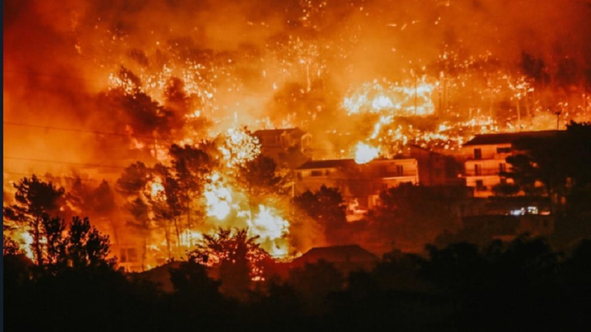 incendiu-vegetatie-dezastru_61859900