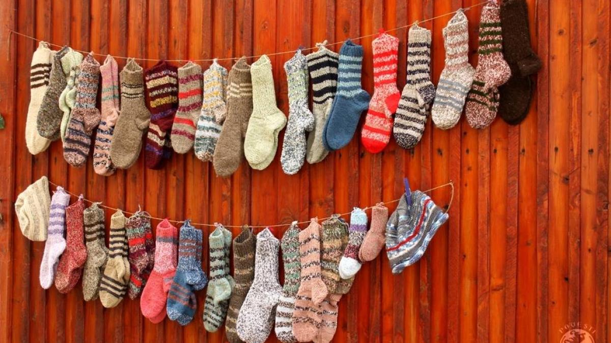 52584275_2271835882848138_6745645660520841216_o_21440600