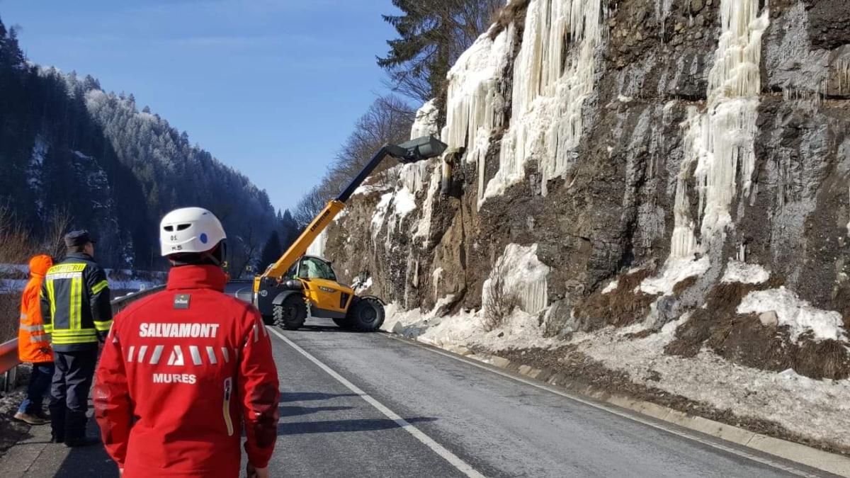 33d3e311-5cfe-4a5b-9383-89482b9eddf7_95618600