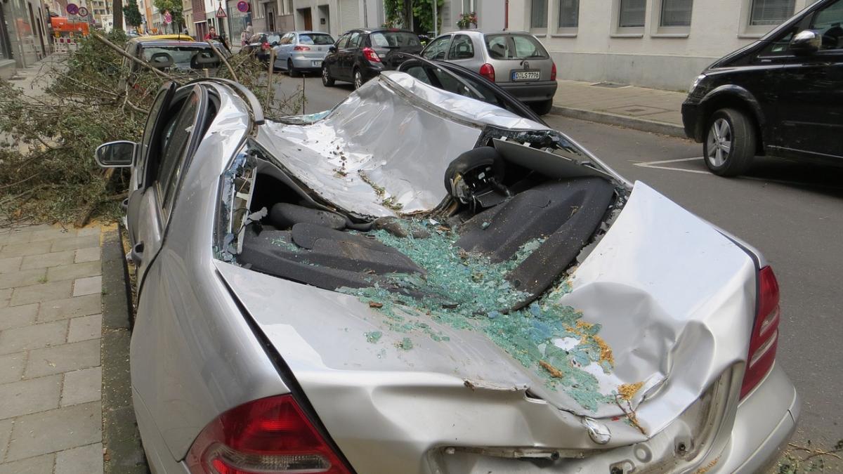 copaci-cazuti-peste-masini-despagubiri_39172800