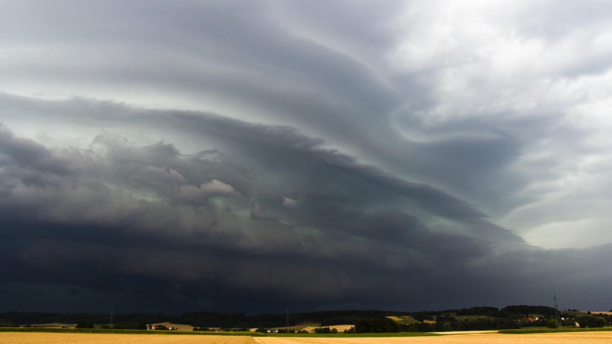 vijelie-vant_47193000