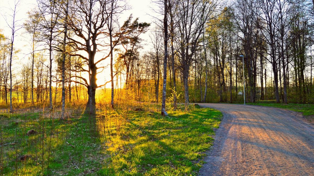 vreme-primavara_45388300