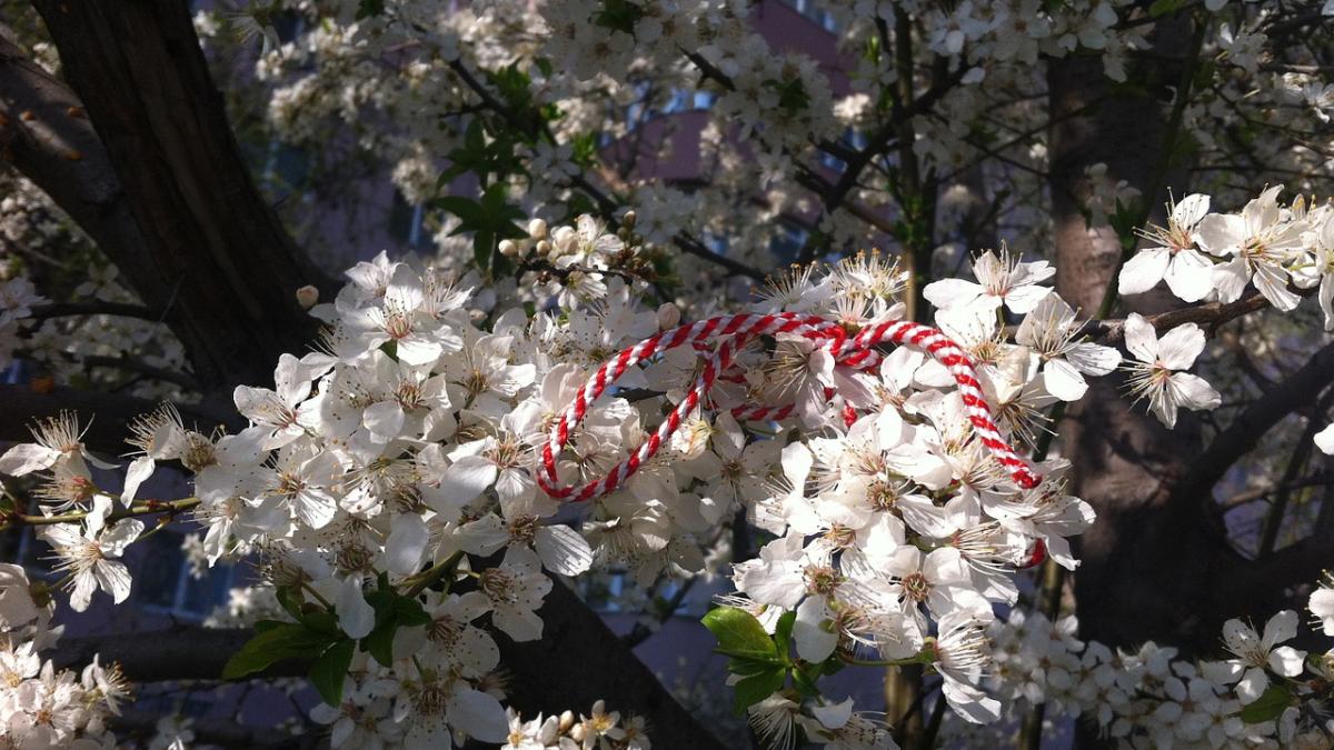 1-martie-martisor-mesaje-felicitari_96228700