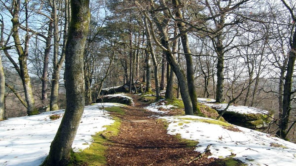 vreme-martie_97769100