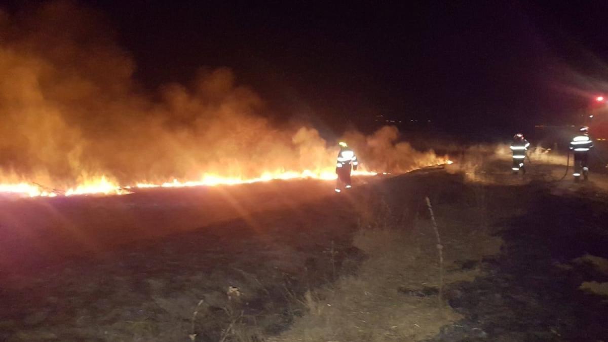 incendiu_delta_pompieri_isu_76504200