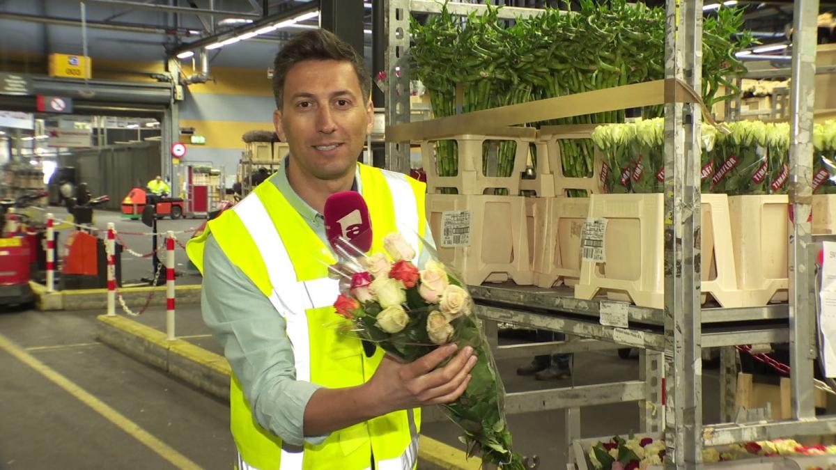 cosmin-stan-observator_21446900