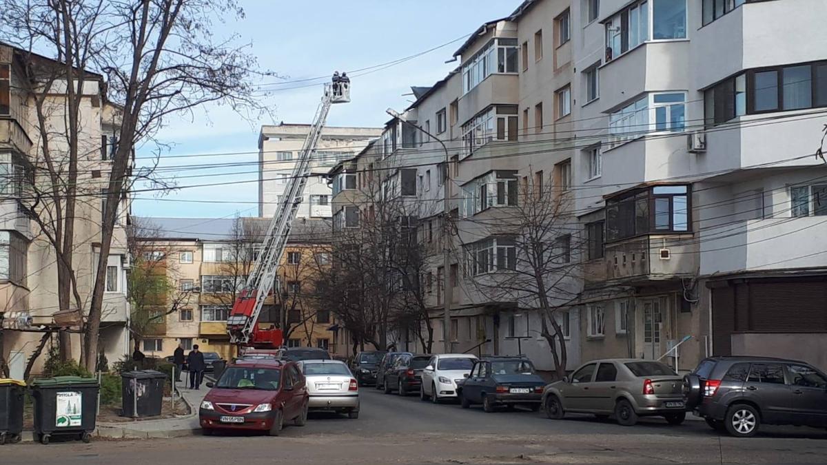 53379797_2434904036520487_7877797811385794560_o_40085200