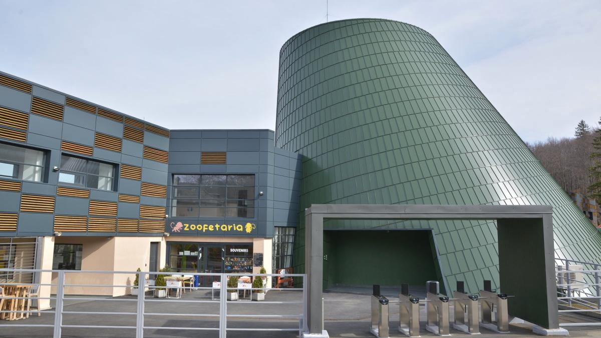 53528466_2118708164873422_2523244349542629376_o_10807600