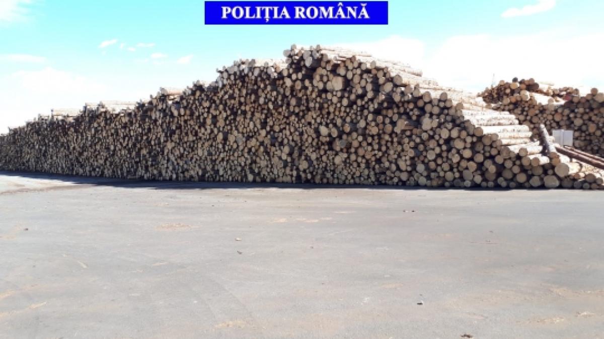 19-03-13-01-42-49big_1_26506000