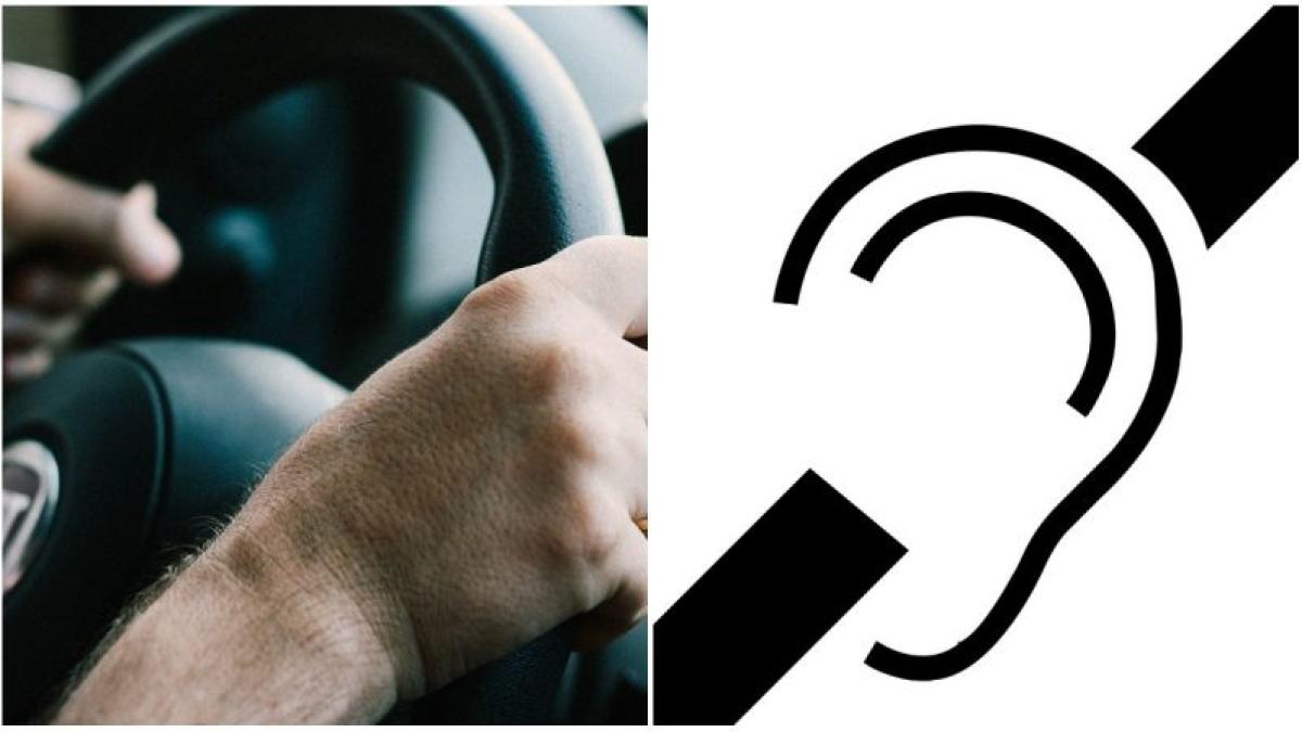 soferi-surzi_96872100