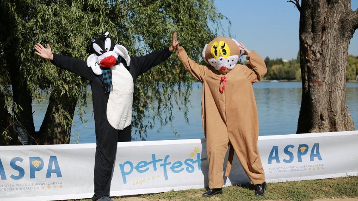 pet_fest_aspa_bucuresti_72116000