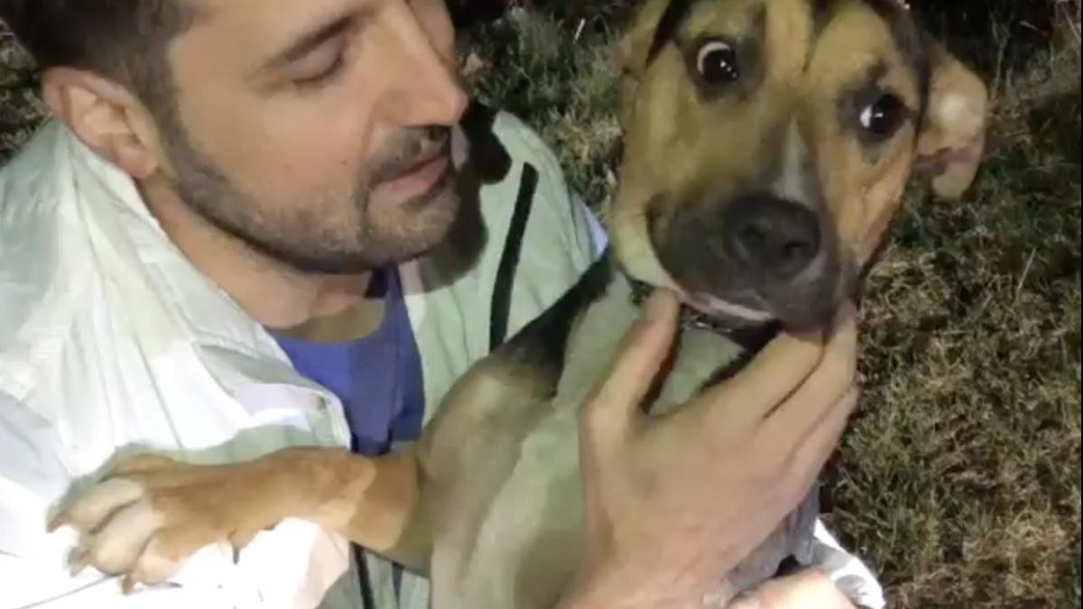 captura-de-ecran-din-2019-03-18-la-08-01-54_76414100