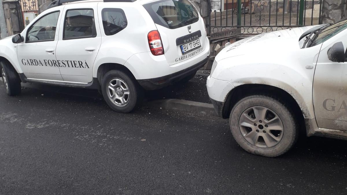 whatsapp-image-2019-03-26-at-16-13-36_19503400