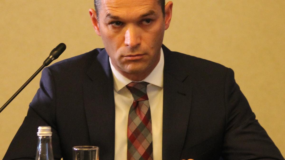 zoltan-nagy-bege-anre_50955700