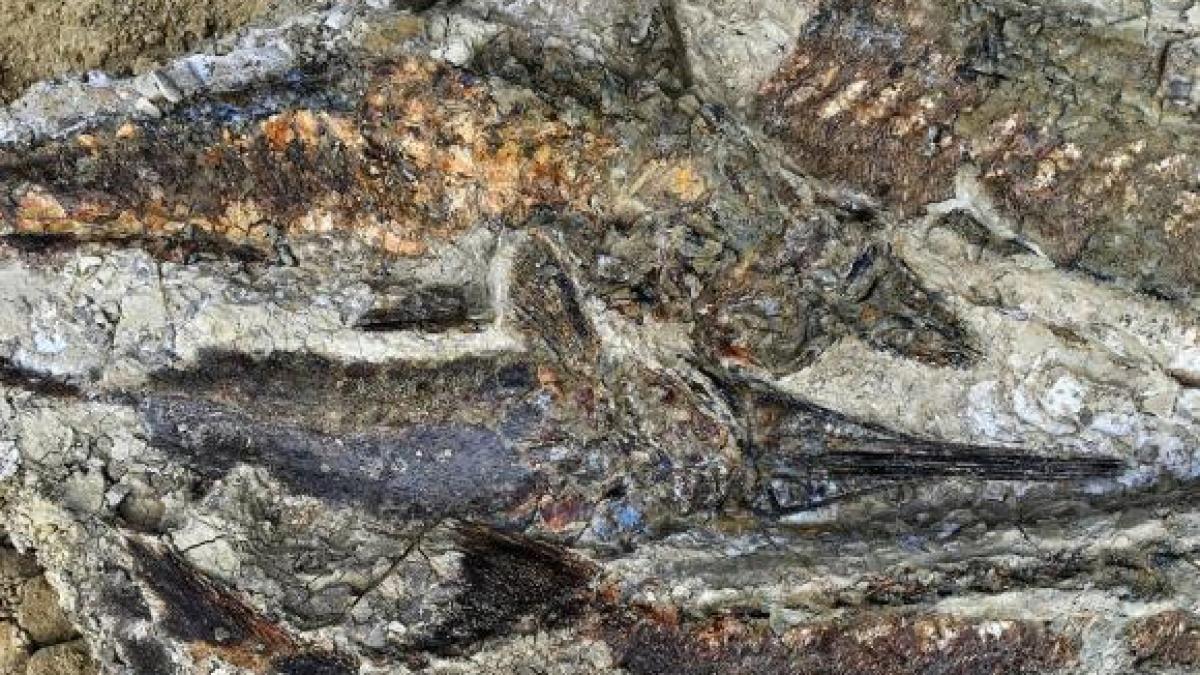 nju0ytaxmji5zdu2otjln2rimwmxyzqxzwnlmwiprc-3d-thumb_29447900