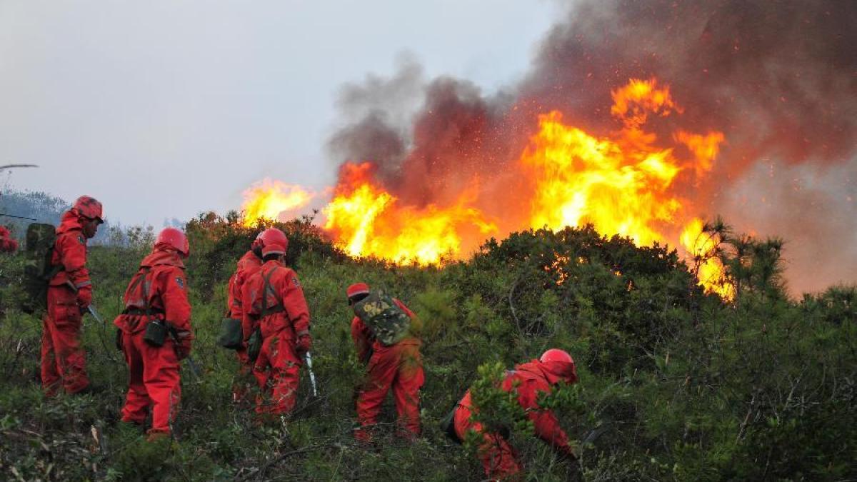 china-incendiu-de-vegetatie_42297300