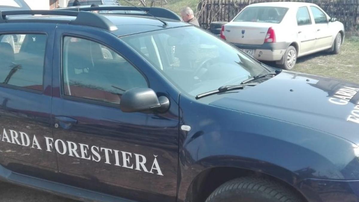 img_20190402_132706-1200x480_34738600