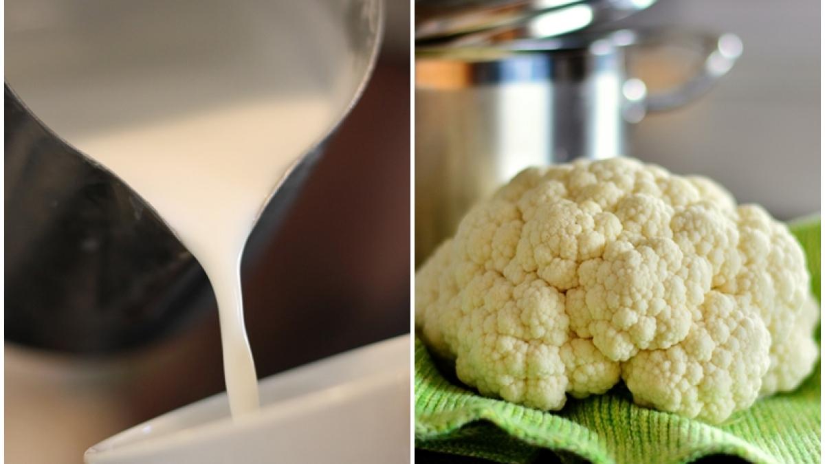 conopida-truc-lapte_40697800