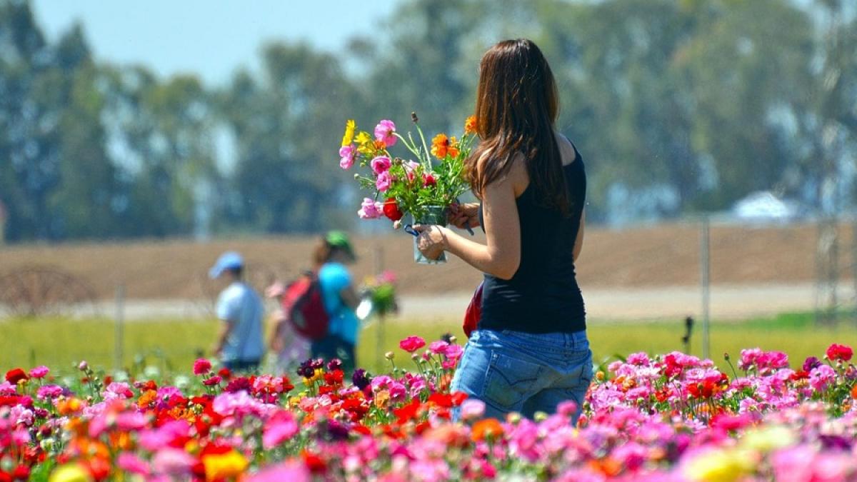 femeie_tanara_52480200