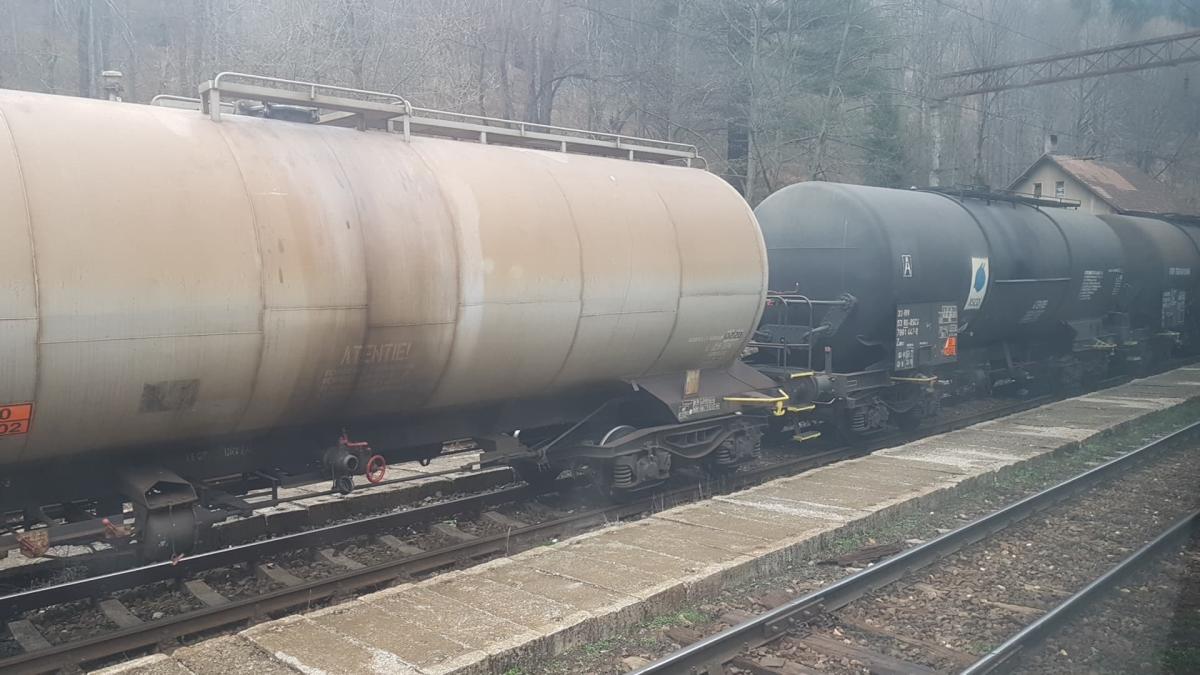 56721492_440860809789964_1019954629997232128_n_30007300