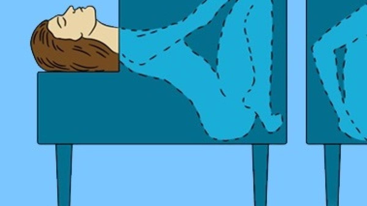 truc-magician-taiat-fierastrau_45383100