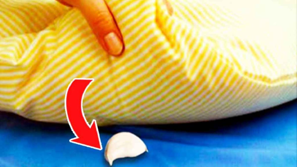 usturoi-sub-perna-truc_17690700