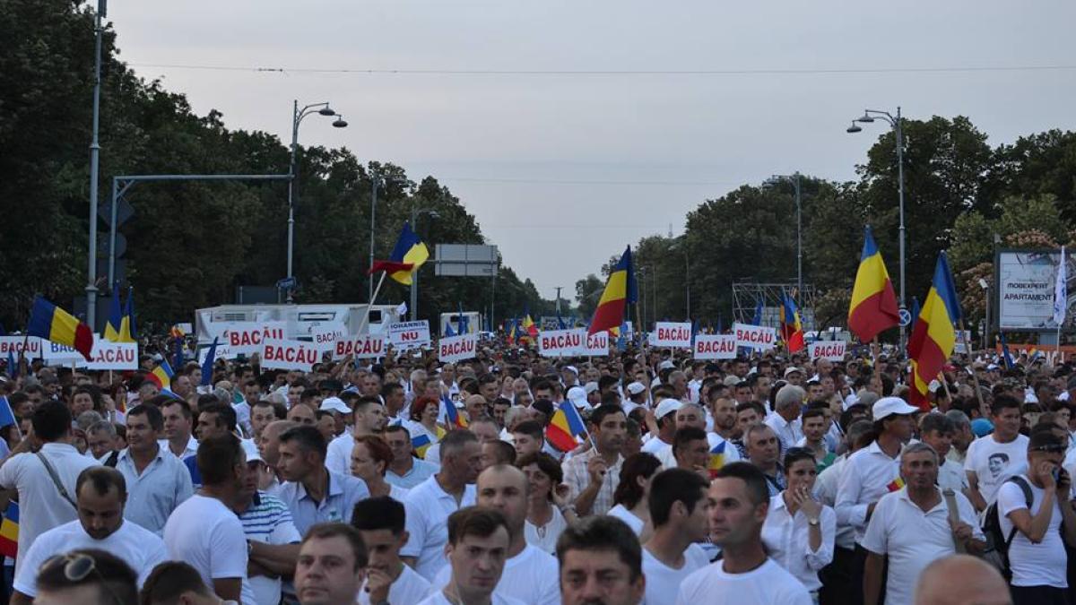 34864855_10155966176674079_221582542531198976_n_73073600