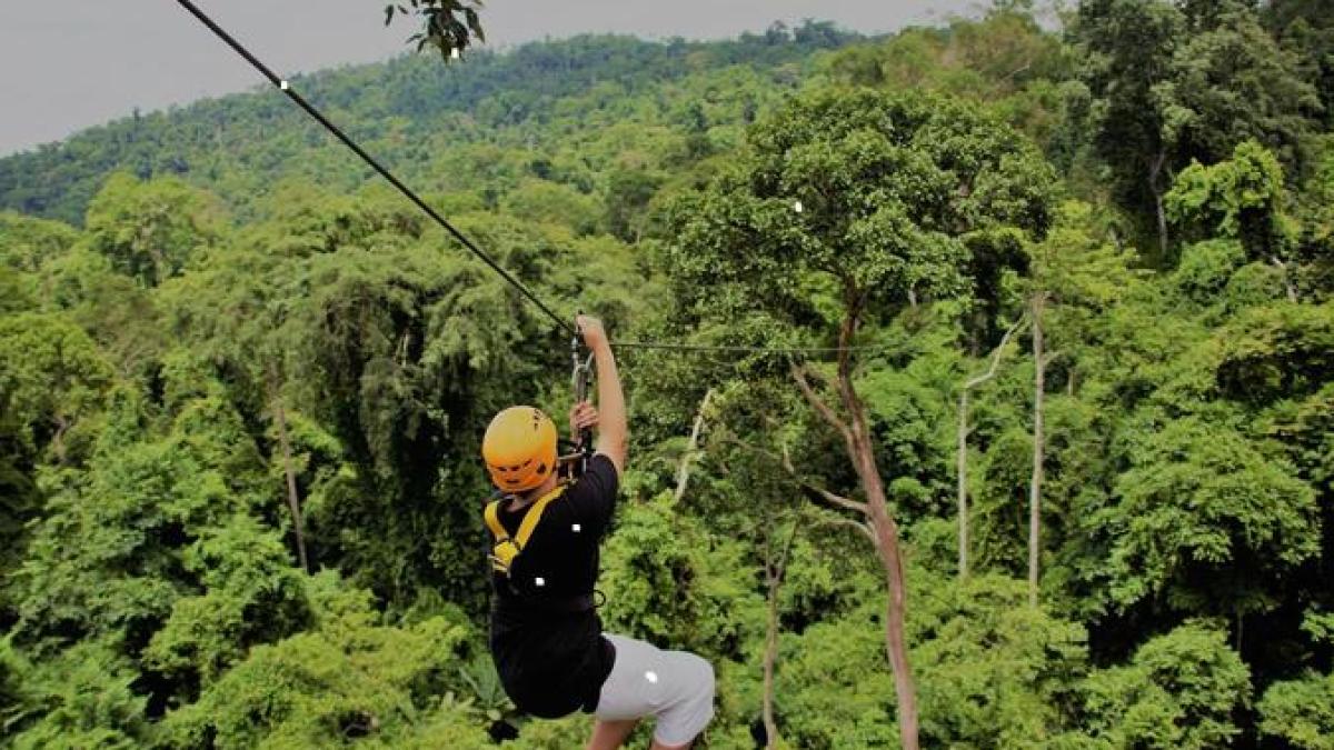 tiroliana-gibbon-thailana_28189600