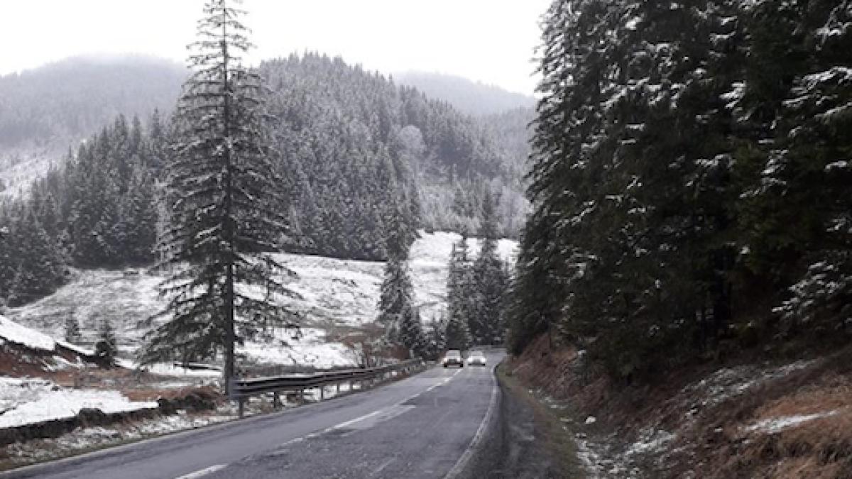 screenshot-2019-04-17-at-09-28-29_28169400