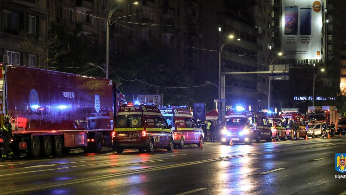 vigorous-warrior-19_88600300