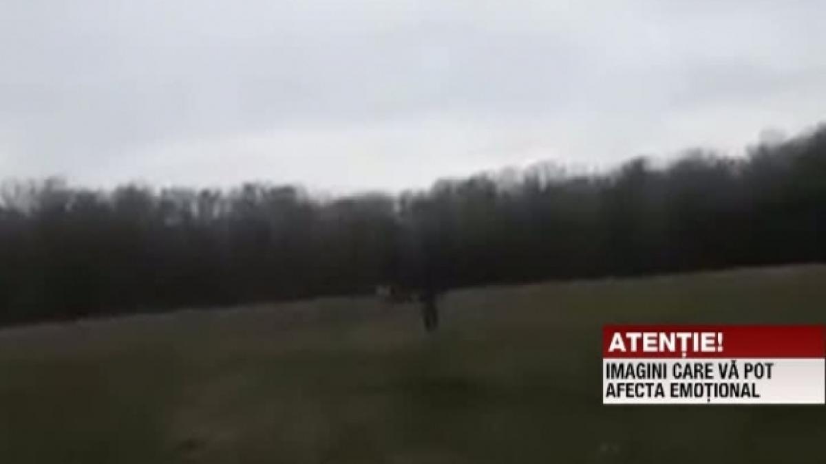 screenshot_81951300_36469600