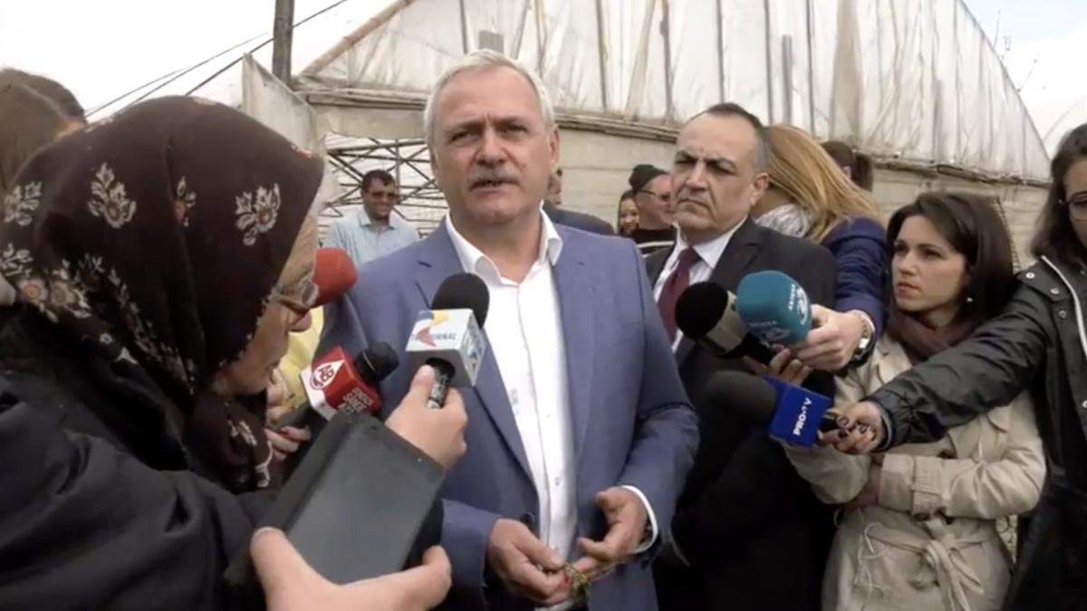 liviu-dragnea_89485200