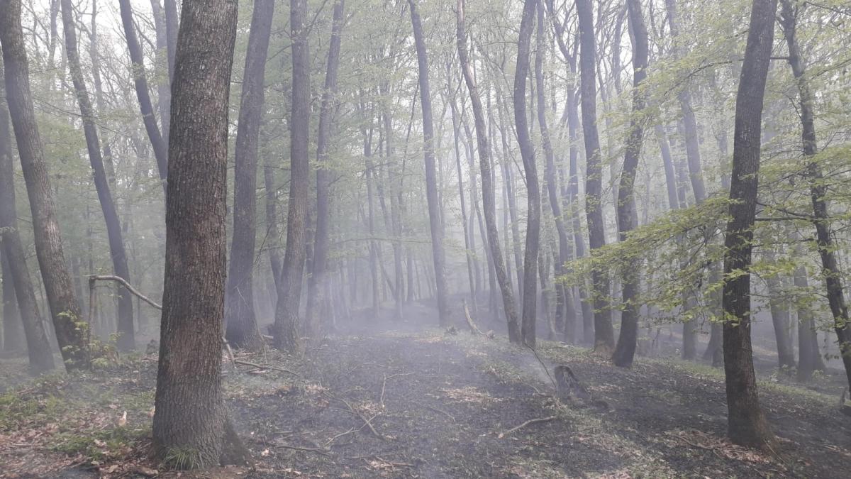 3e077e13-6271-4627-8ddd-a76e6edb7f4e_45226100