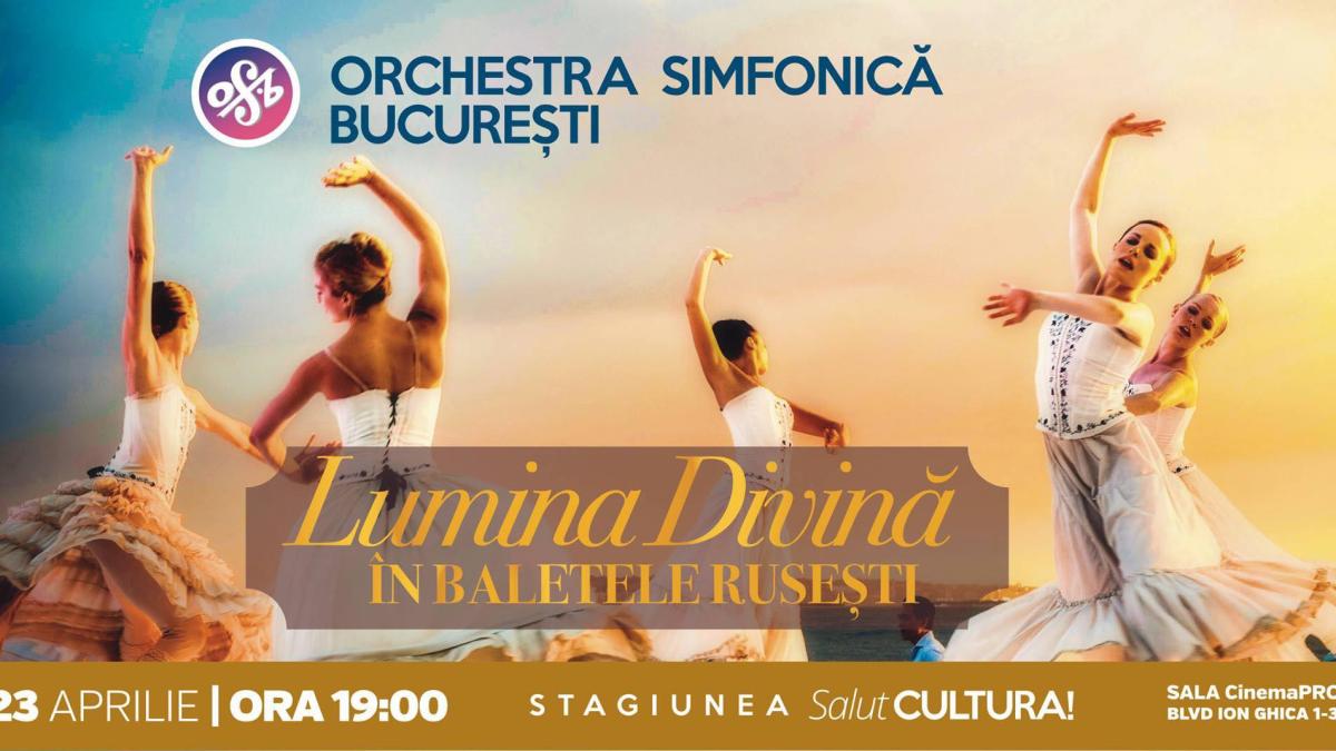 53703435_159350738293784_1834260827088093184_n_75678100